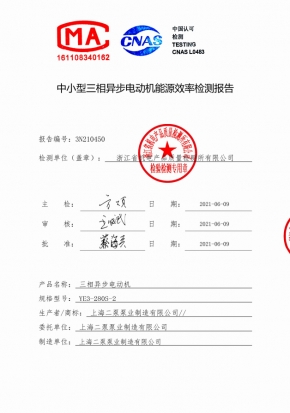 電機(jī)能效報(bào)告YE3-280S-2